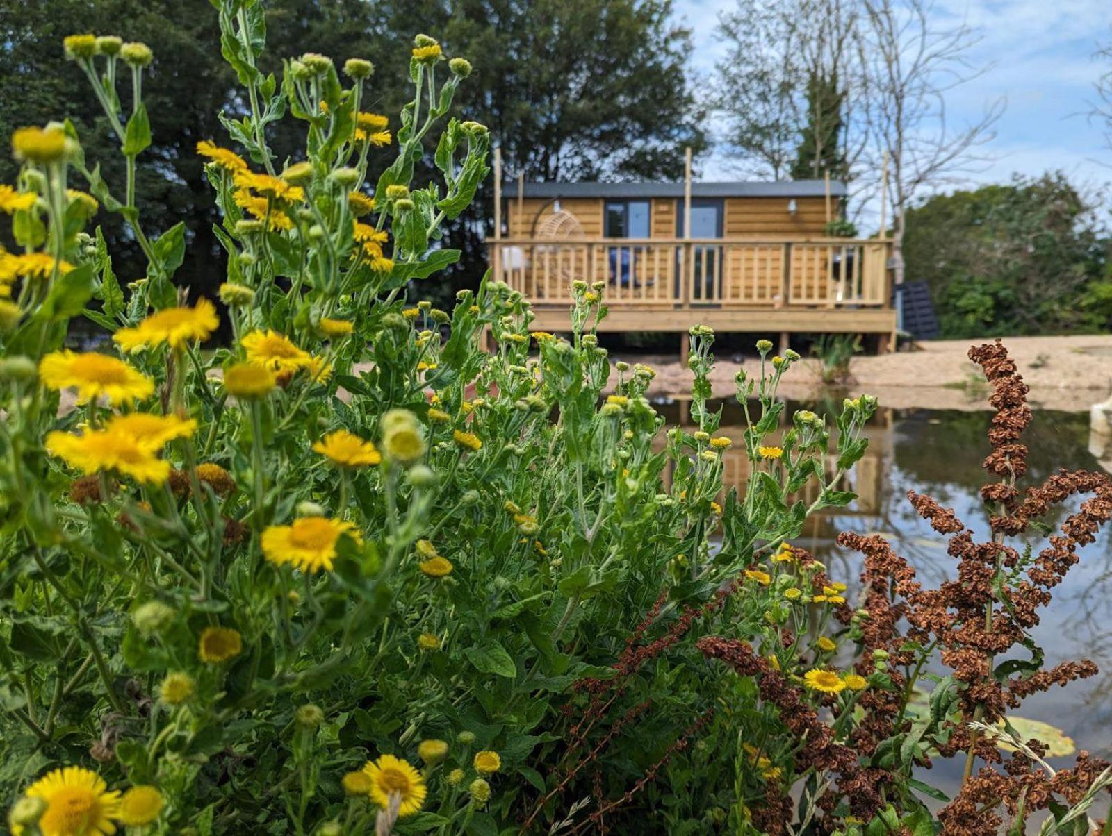 Rusty Duck Retreat Shepherds Hut Shedfield Esterno foto